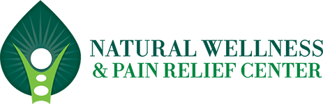 Natural Wellness of Michigan Logo